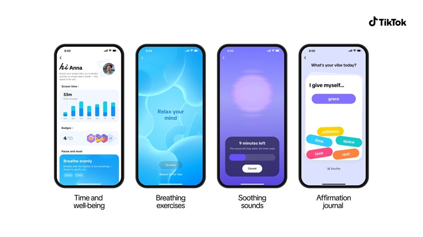 TikTok Time and Well-Being feature